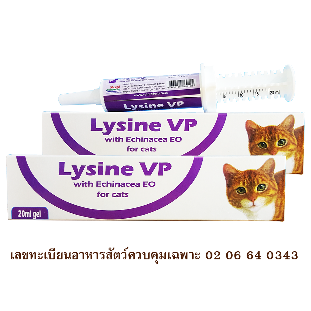 Lysine plus Echinacea for Cats, ป้องกันและรักษาโรคหวัดในแมว